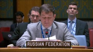Выступление Д.А.Полянского на заседании СБ ООН по ситуации на Ближнем Востоке