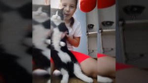 💃танец кота Сеньки (2часть)😺