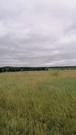 Родной Край
