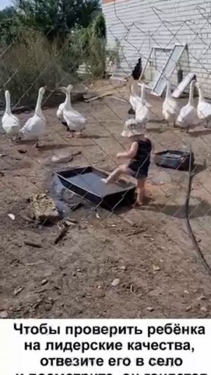 Гуси