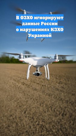 В ОЗХО игнорируют данные России о нарушениях КЗХО Украиной
