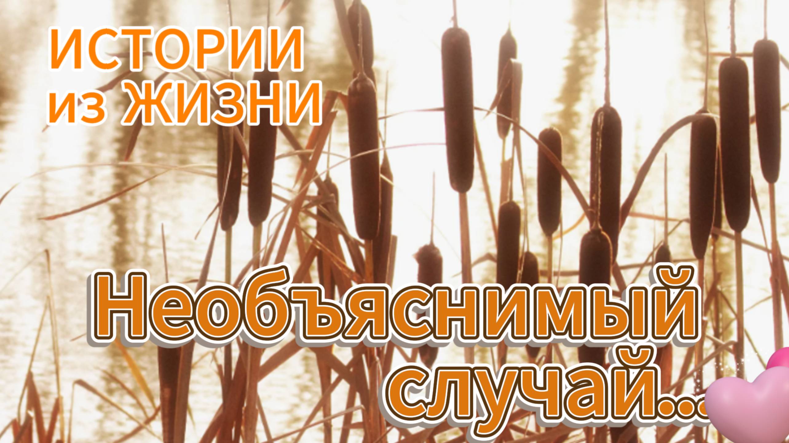 Интересные  истории - Необъяснимый случай... НОВИНКА