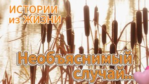 Интересные истории - Необъяснимый случай... НОВИНКА