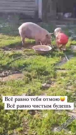 Чистота-залог здоровья )))