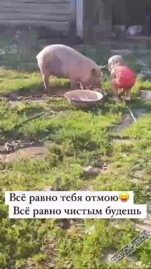 Чистота-залог здоровья )))