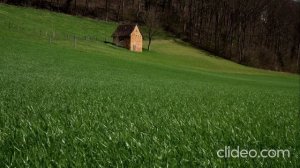 Простите меня дорогие подписчики!