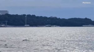 Небуг Туапсинский район Дикий пляж сегодня 1 июля 2025. Море и погода в Небуге сейчас