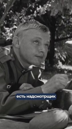 Концлагерь, а не коллектив