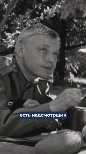 Концлагерь, а не коллектив