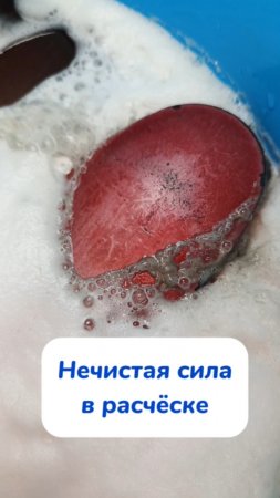 Мои любимые старенькие расчесочки🤗