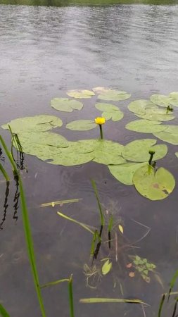 1.7.25