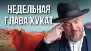 Недельная глава Хукат:  секрет красной коровы