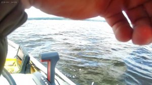 рыбалка на джиг с лодки поклёвка судака