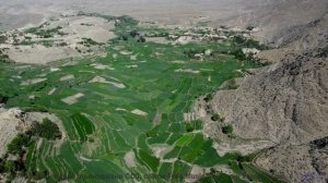 Эта мелодия генерируется вашим мозгом в реальном времени - попробуйте! - Fusidic Acid (Bacteriostati