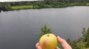 Скала любви под Светогорском