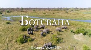 Ботсвана HD - Живописный фильм о дикой природе с африканской Музыкой