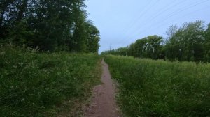 Удивительная природа. I'll find a way out soon