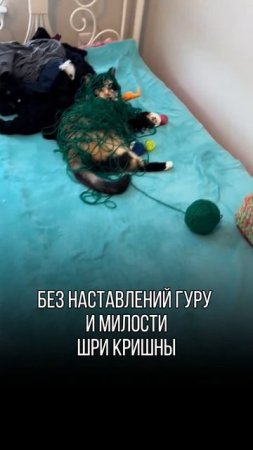 Поддерживаем вас Юмором каждый день!