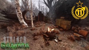 Ищу ПСИшлем и получаю Бэбру #11 S.T.A.L.K.E.R. Anomaly G.A.M.M.A. 0.9.3