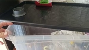 Крыс Реми часть 2.
