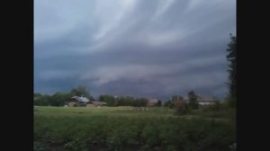 Жизнь в деревне - Мой огород : Как подвязать помидоры правильно. Мой огород