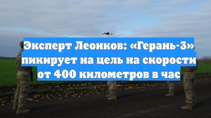 Эксперт Леонков: «Герань-3» пикирует на цель на скорости от 400 километров в час