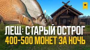 Где Лещ? Новые точки для фарма серебра ● Русская рыбалка 4 ● Перчик РР4