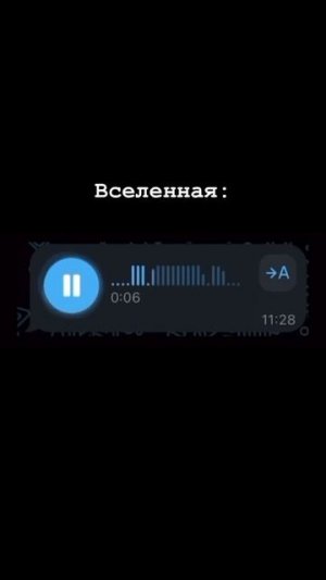 1000052490.mp4
