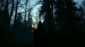 Shadows - Evening