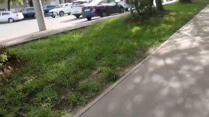 Тайны городских уголков: скрытые маршруты мегаполиса