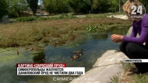Даниловский пруд в Симферополе превратился в болото
