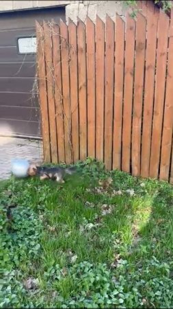 опять она)))