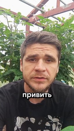 Кто должен воспитывать детей