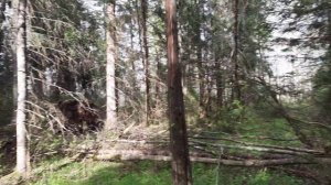 Поиск металла на новом месте.