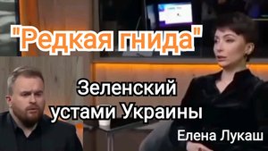 Зеленский | Шизофрения | Редкая гнила | Яйцо вши | Елена Лукаш