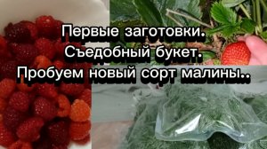 01-07-2025 Первые заготовки.Съедобный букет.Пробуем новый сорт малины.