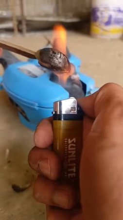 Забота о наших меньших