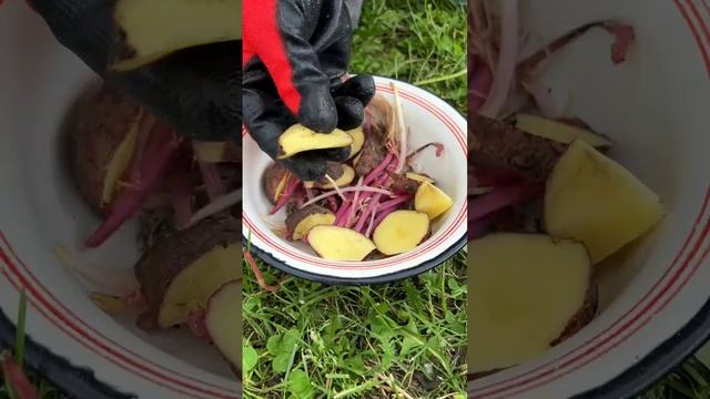 Как уберечь всходы КАРТОФЕЛЯ от КОЛОРАДСКОГО ЖУКА?!