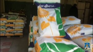 Контрафакт. Семена подсолнечника на более 1 млн руб