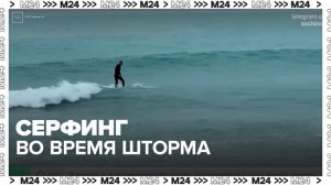 Серферы вышли на штормовые волны в Сочи - Москва 24