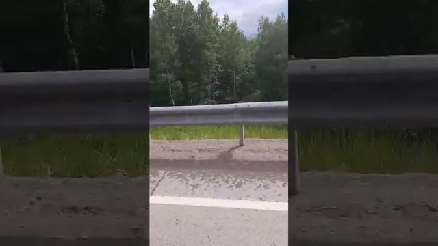 дорога