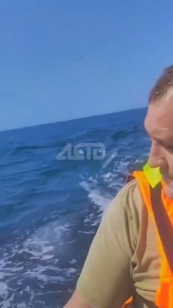 Невероятные кадры: косатки подплыли вплотную к людям