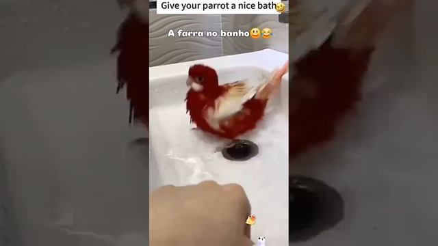 Не может удержаться