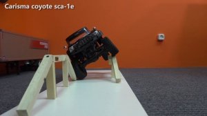 Caster, бюджетная трофи. Брать не стоит