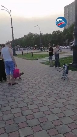 Железный и пушистый: необычная встреча на набережной Амура