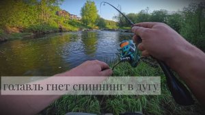 Рыбалка на ультралайт
Вертушка Pontoon 21 не оставил без улова