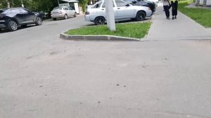 Звуки природы: тихое погружение в лесную чащу с Путь студента до вуза