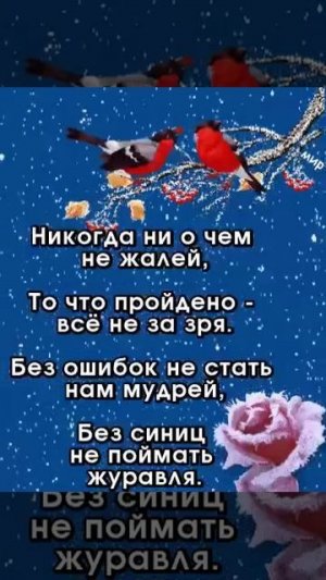 VID-20220704-WA0000