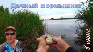 ДАЧНЫЙ МОРМЫШИНГ в Июне #artdon_fishing, #fishing , #ribalka