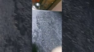 чернитель шин